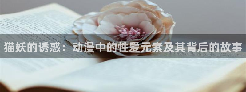 漫蛙正版