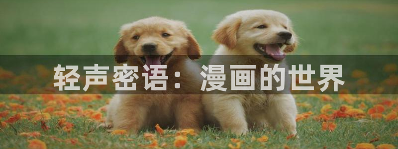 漫蛙2网站版