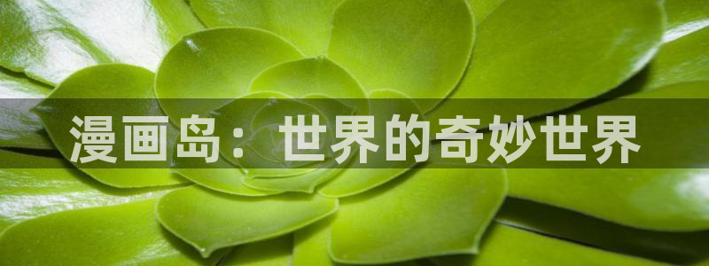 漫蛙官网网页版