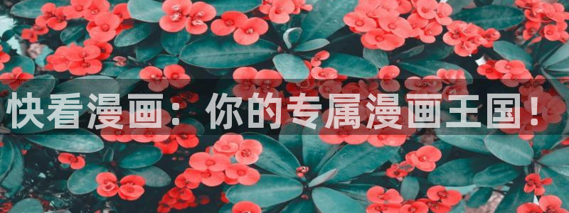 漫蛙能看什么漫画