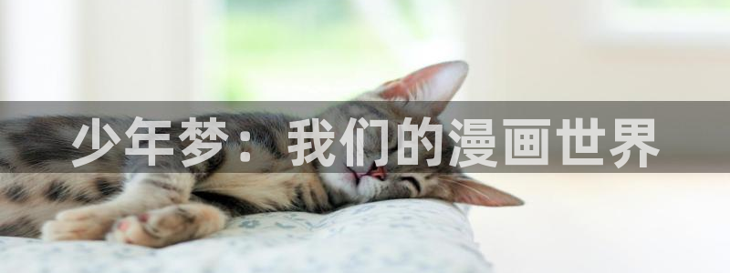 漫蛙manwa2网址