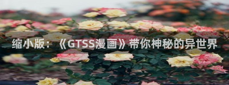 漫蛙免费使用