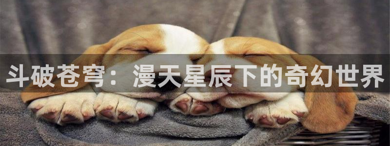 漫蛙manwa：斗破苍穹：漫天星辰下的奇幻世界
