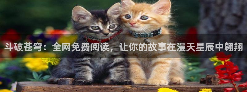 漫蛙花钱吗