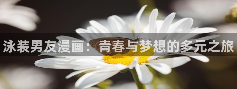 漫蛙漫画(官网)：泳装男友漫画：青春与梦想的多元之旅