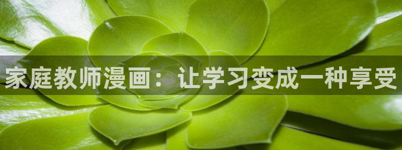禁漫蛙：家庭教师漫画：让学习变成一种享受