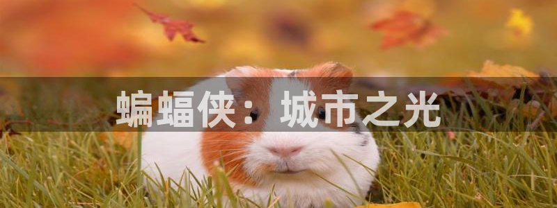 漫蛙要加速器吗：蝙蝠侠：城市之光
