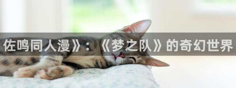 漫蛙三：佐鸣同人漫》：《梦之队》的奇幻世界