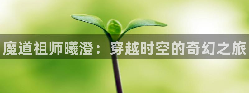 漫蛙漫画免费阅读在线观看网页版：魔道祖师曦澄：穿越时空的奇幻之旅
