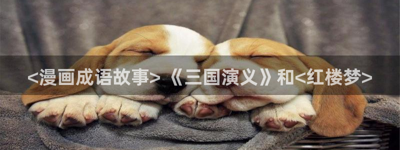 漫蛙纯净：<漫画成语故事> 《三国演义》和<红楼梦>