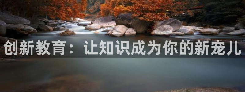 漫蛙入口：创新教育：让知识成为你的新宠儿
