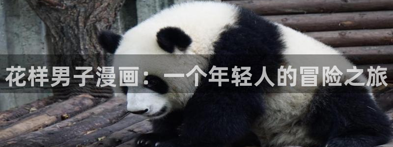 漫蛙免费在线看：花样男子漫画：一个年轻人的冒险之旅