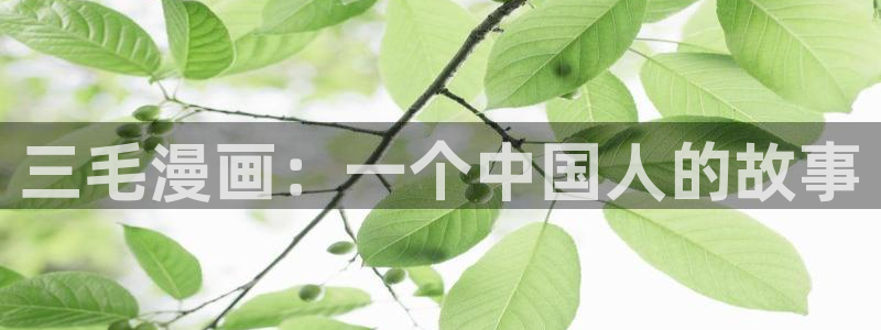 漫蛙漫画免费漫画：三毛漫画：一个中国人的故事
