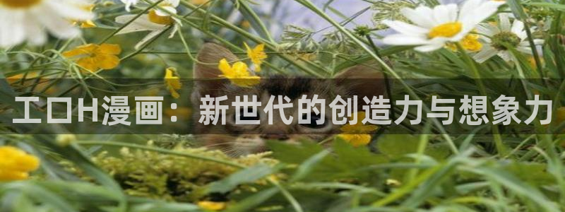 漫蛙漫画网页入口防走丢：工口H漫画：新世代的创造力与想象力